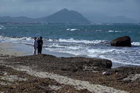 Der Strand von Alc&uacute;dia auf Mallorcas