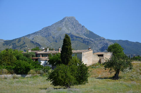 Landschaft auf Mallorcas